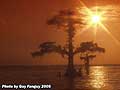 Guy Fanguy - Artist - Photographer - Guy Fanguy - Campgrounds - Louisiana -  Lake End Park in Morgan City (104).jpg Size: 37578 - 10